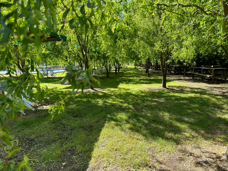Áreas verdes del parque bajo la sombra de los sauces
