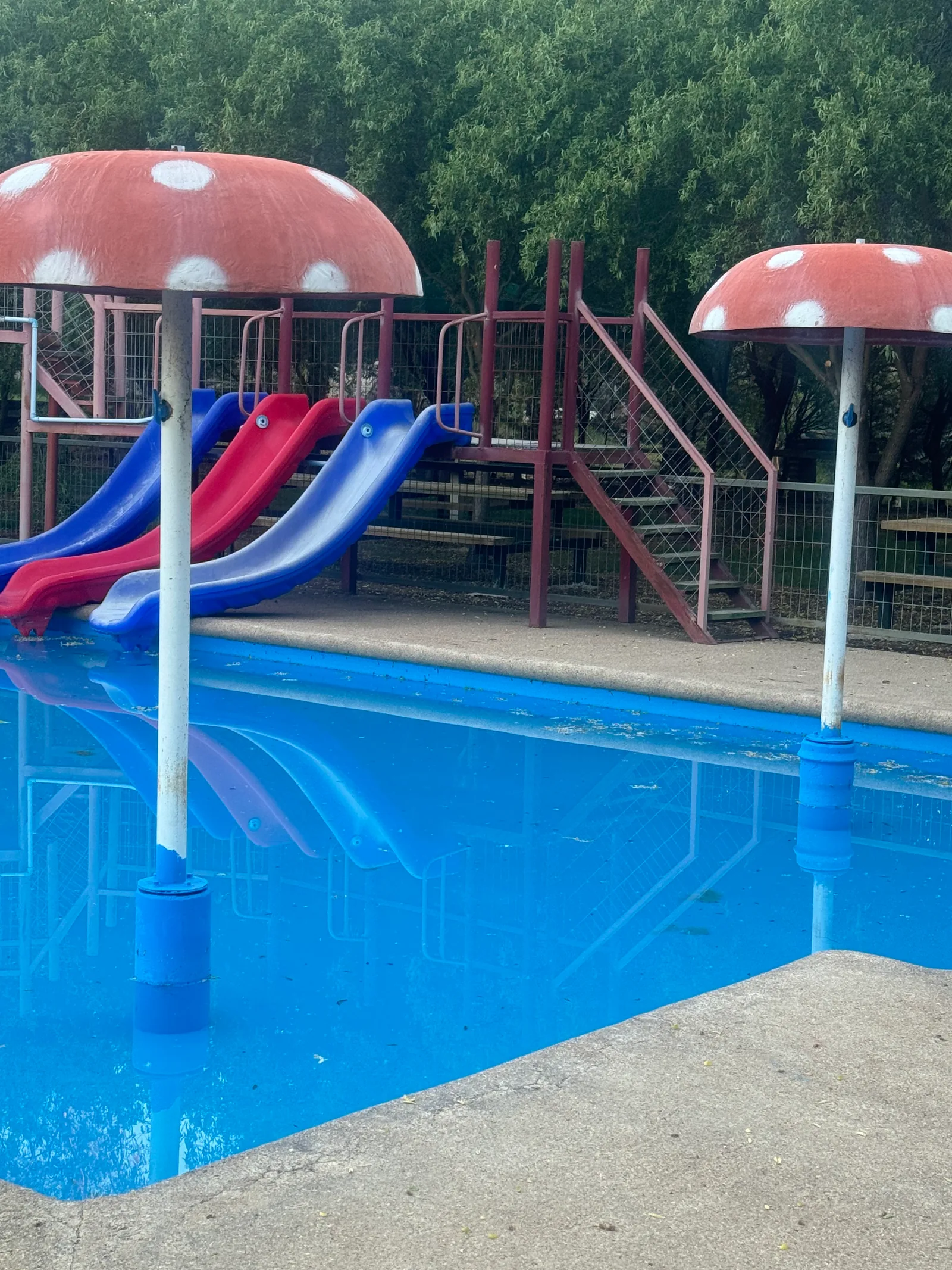 Toboganes rojos y azules junto a las fuentes de hongos de la piscina infantil