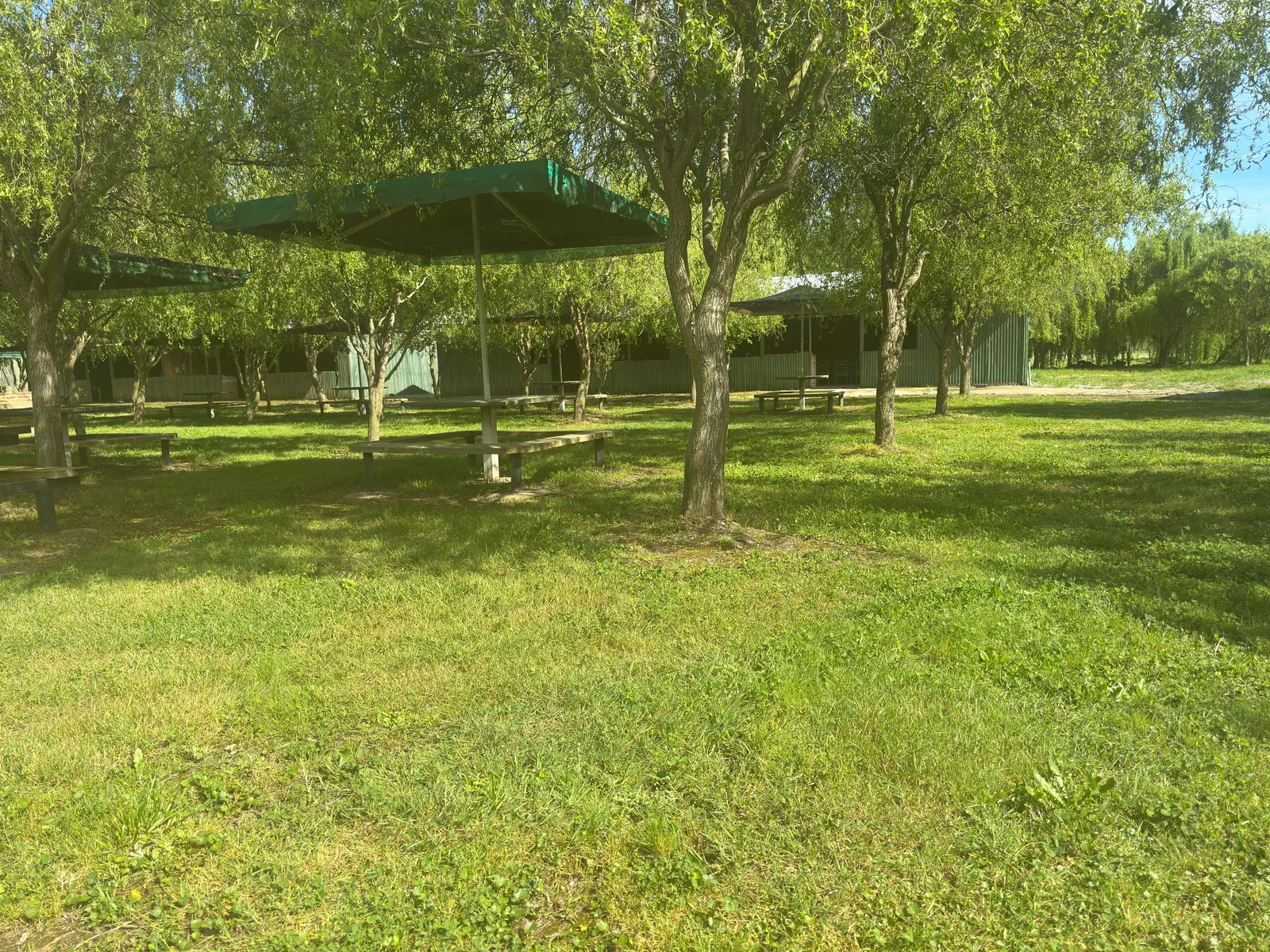 Mesas de picnic entre sauces y áreas verdes de Rincón de Antonio