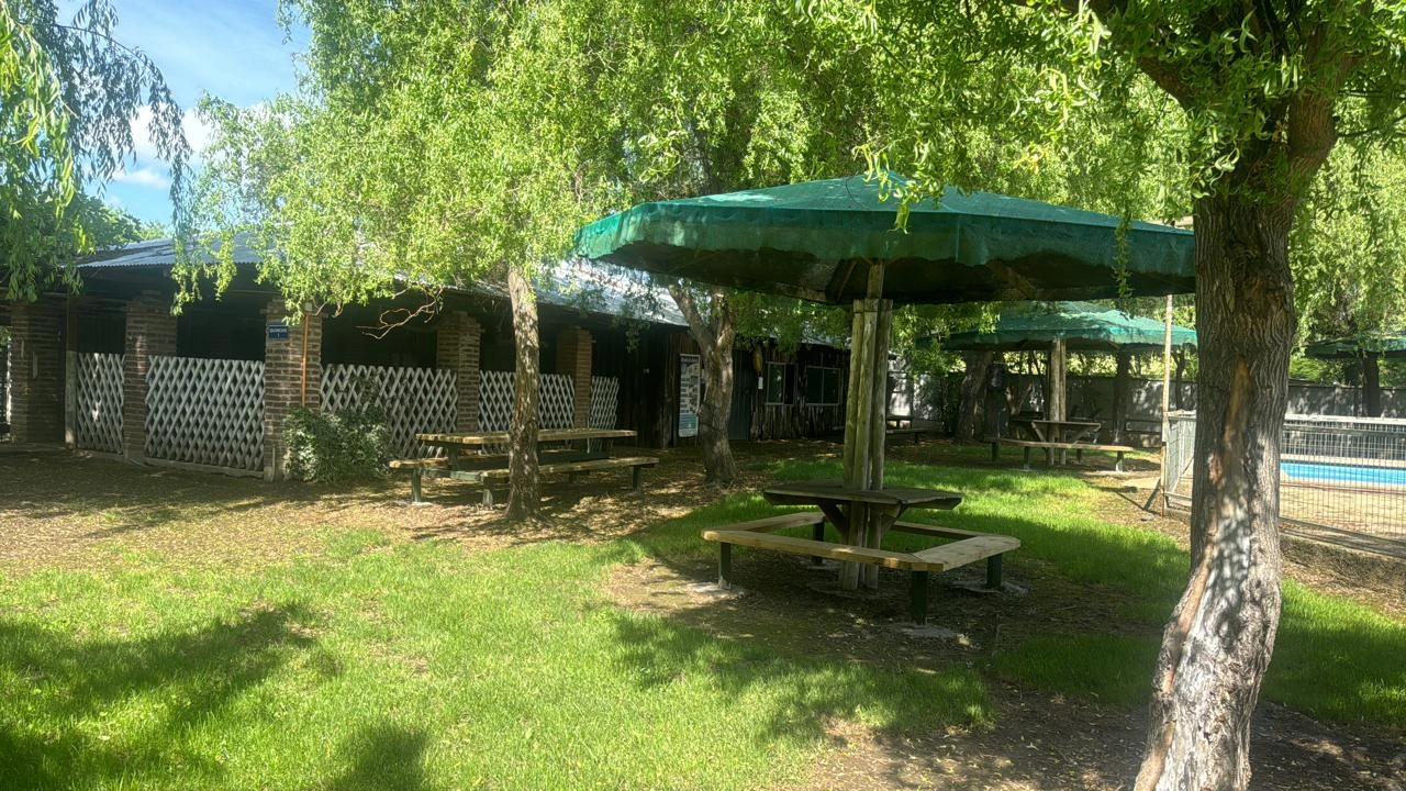 Mesas de picnic entre sauces y áreas verdes
